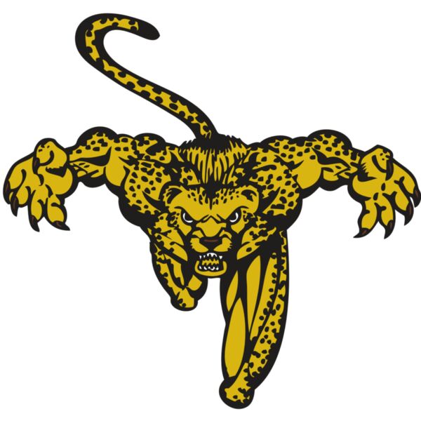 BAW CHEETAH 08 RC Thumbnail